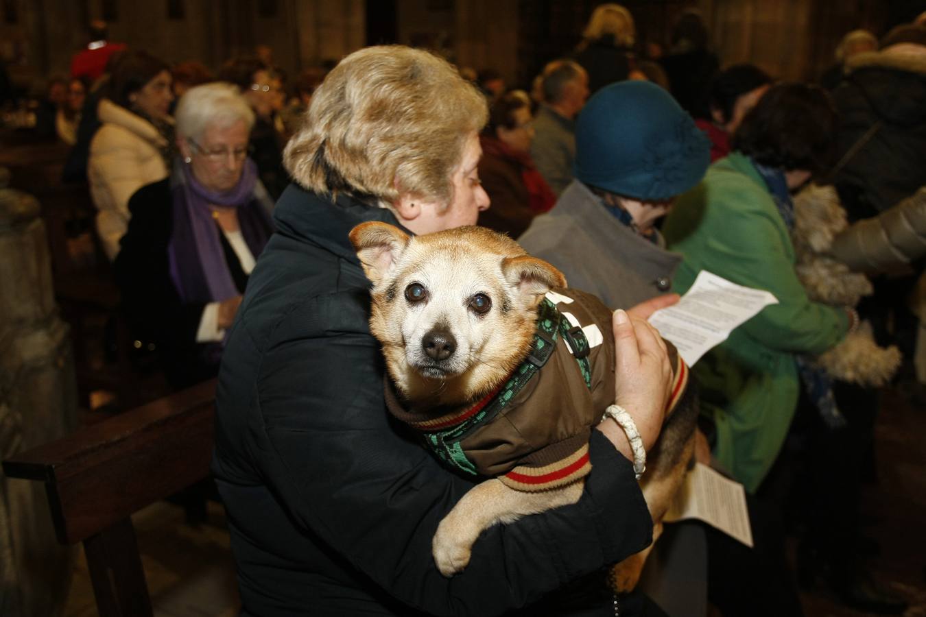 La bendición para las mascotas de Torrelavega el día de San Antón