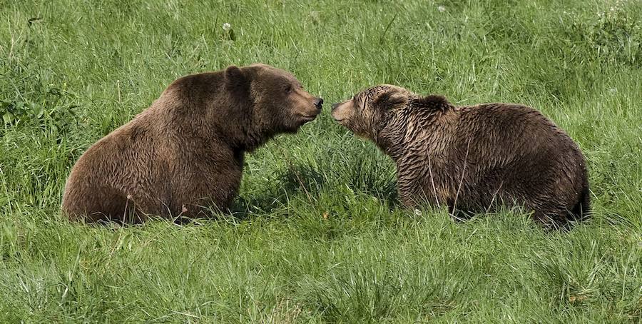 La vida de &#039;Tola&#039; y &#039;Paca&#039; en imágenes