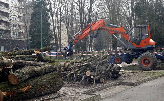 La cubierta del parque Manuel Barquín se realizará a pesar de las protestas por la tala de árboles