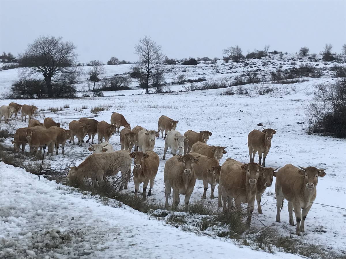 Carreteras y pueblos nevados, este viernes en el sur de Cantabria