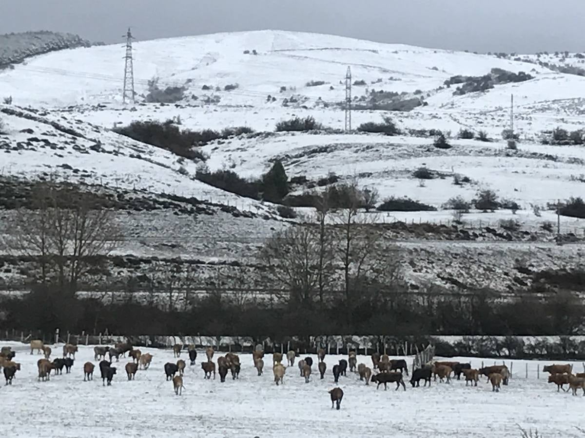 Carreteras y pueblos nevados, este viernes en el sur de Cantabria