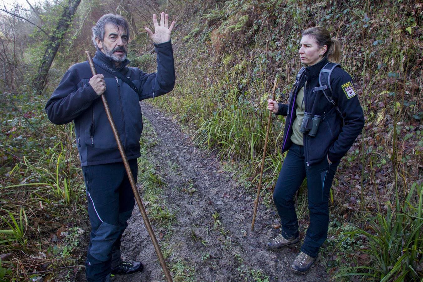 Los osos, más cerca de los hombres en la Cordillera Cantábrica