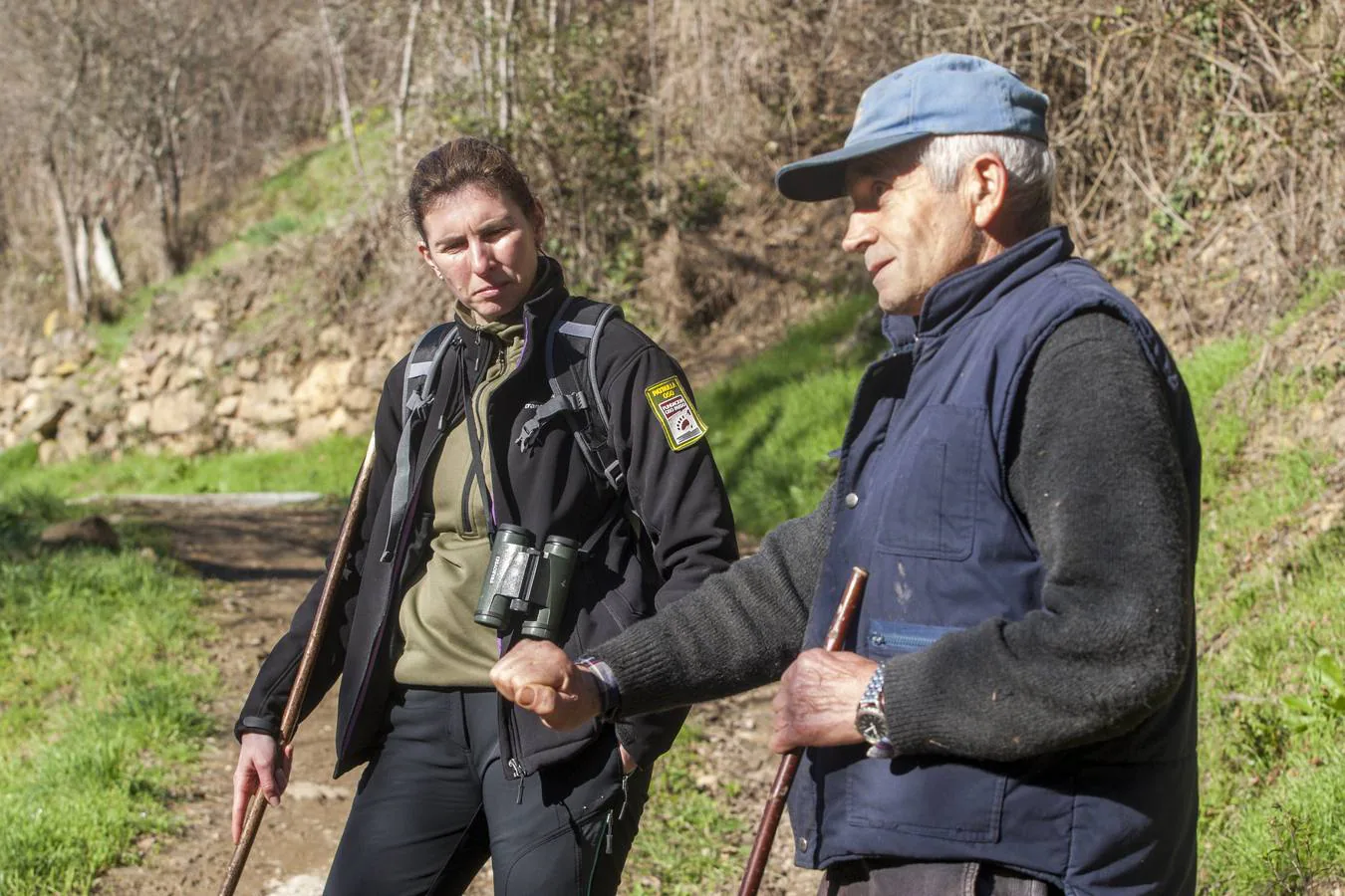 Los osos, más cerca de los hombres en la Cordillera Cantábrica