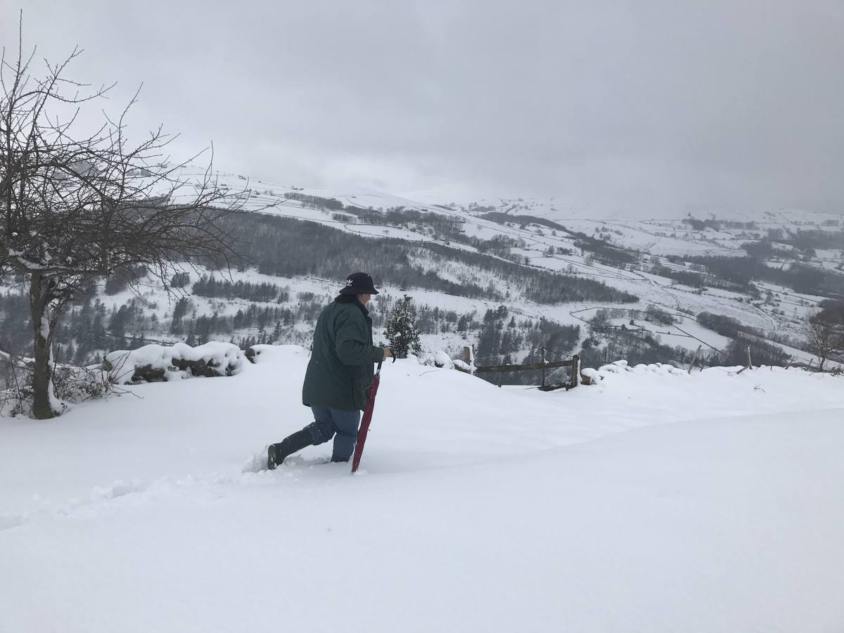 400 alumnos de Cantabria se quedan sin clase por la nieve