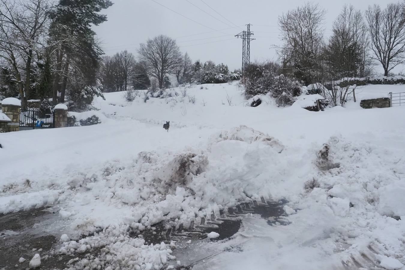 Un manto blanco cubre la zona de Campoo