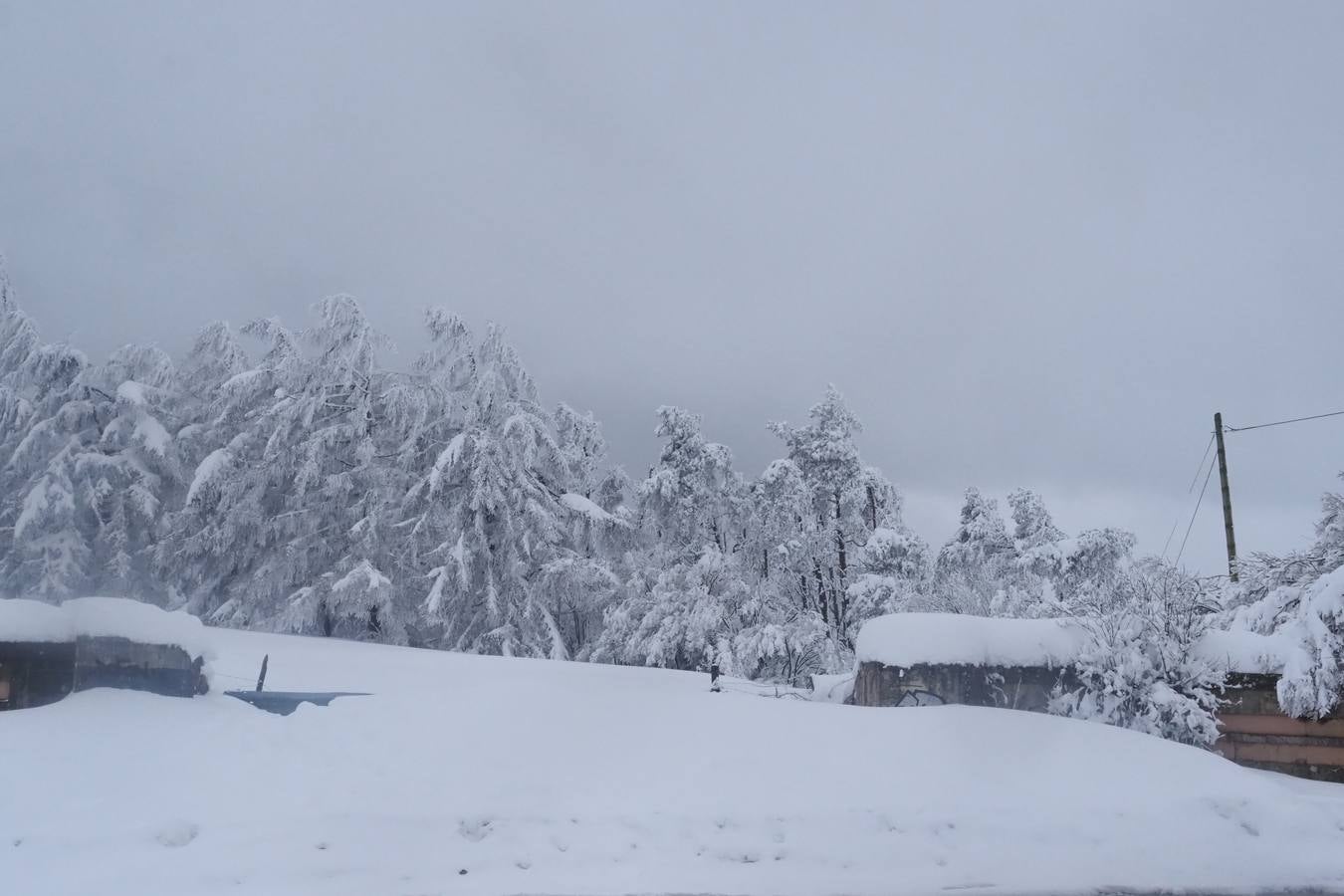 Un manto blanco cubre la zona de Campoo