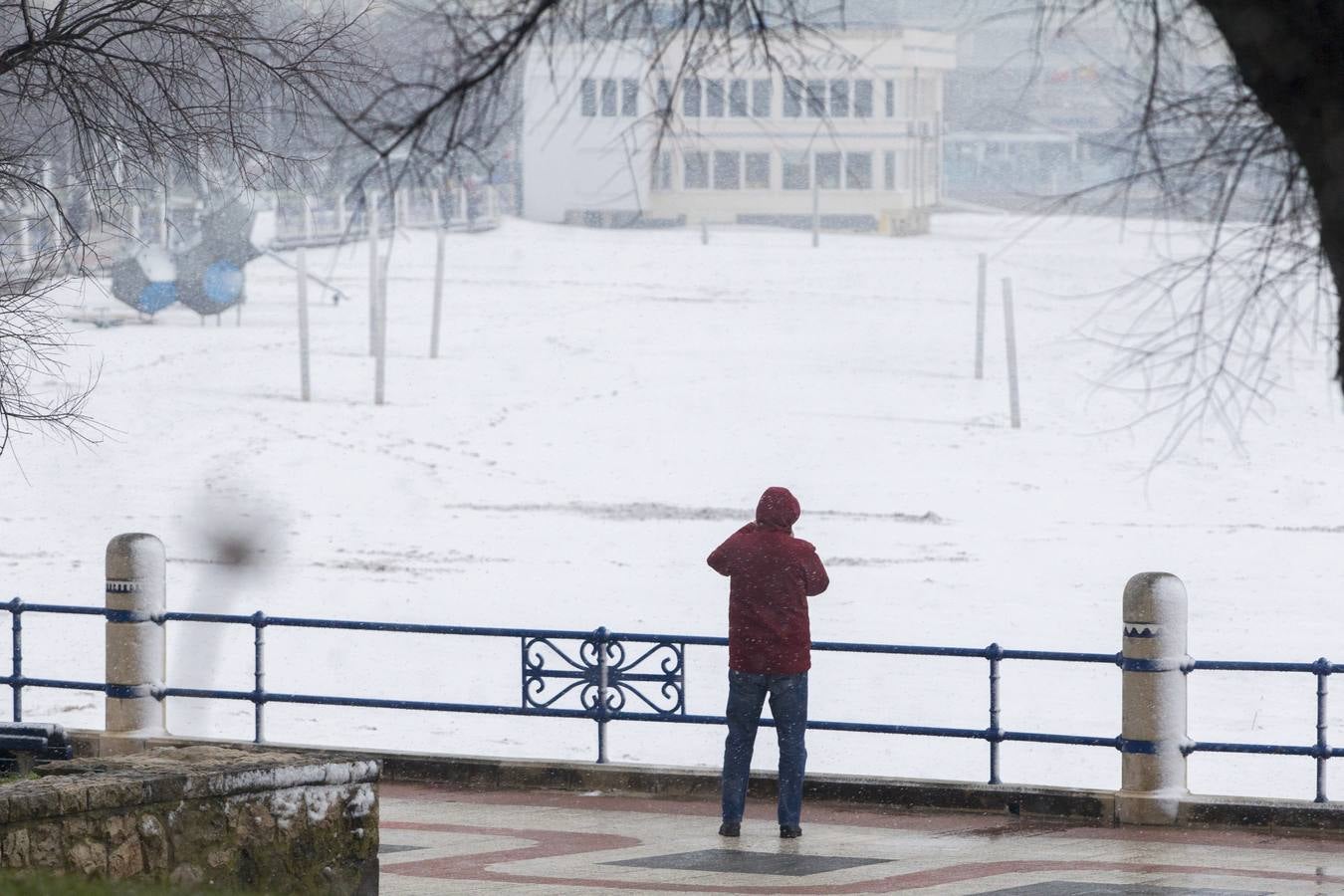 Fotos: A clase y a trabajar bajo la nieve