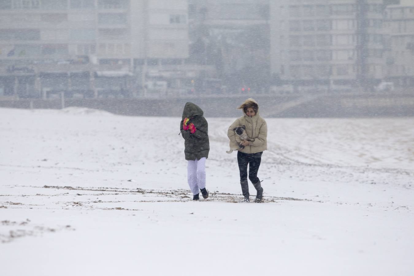 Fotos: A clase y a trabajar bajo la nieve