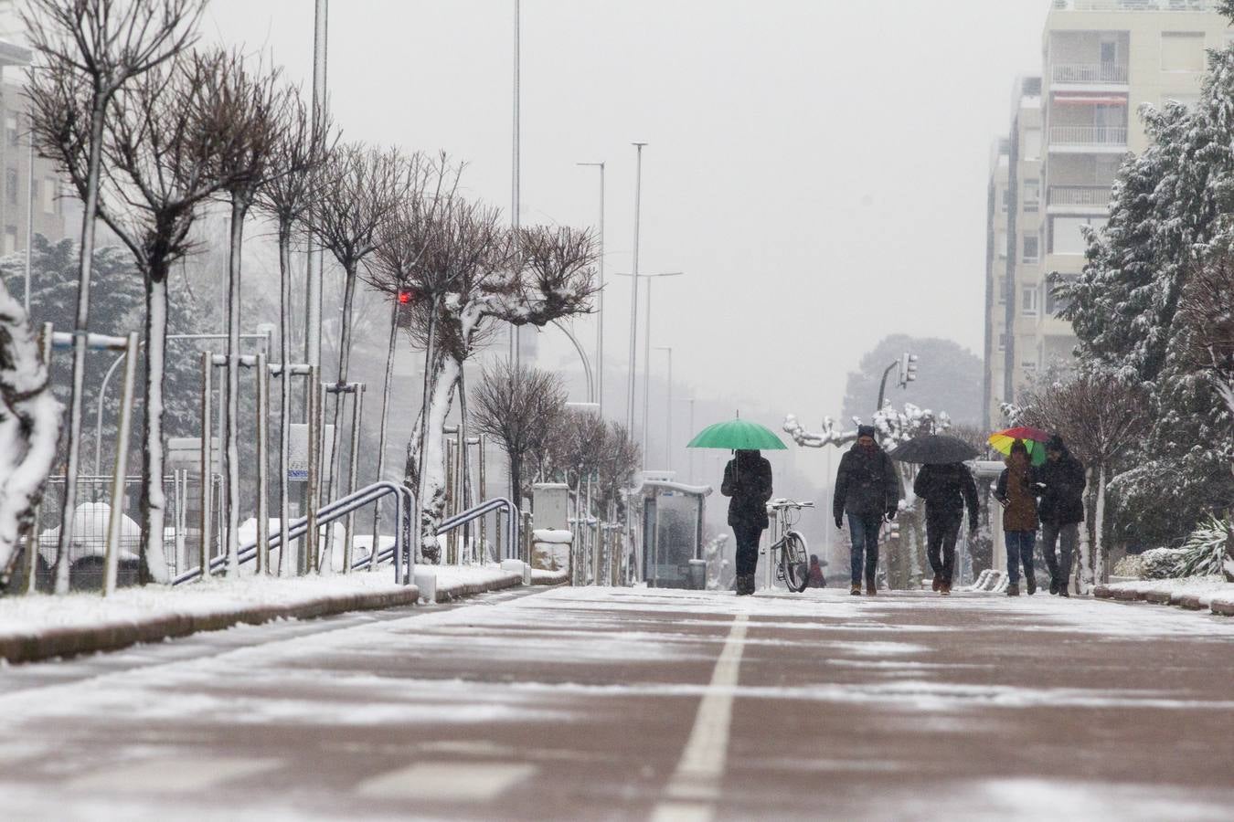 Fotos: A clase y a trabajar bajo la nieve