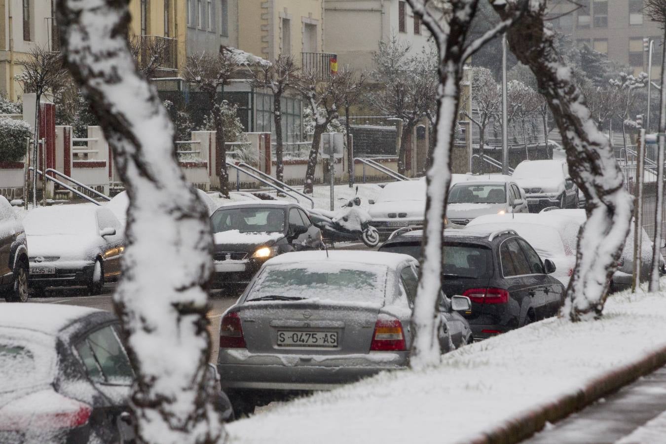 Fotos: A clase y a trabajar bajo la nieve