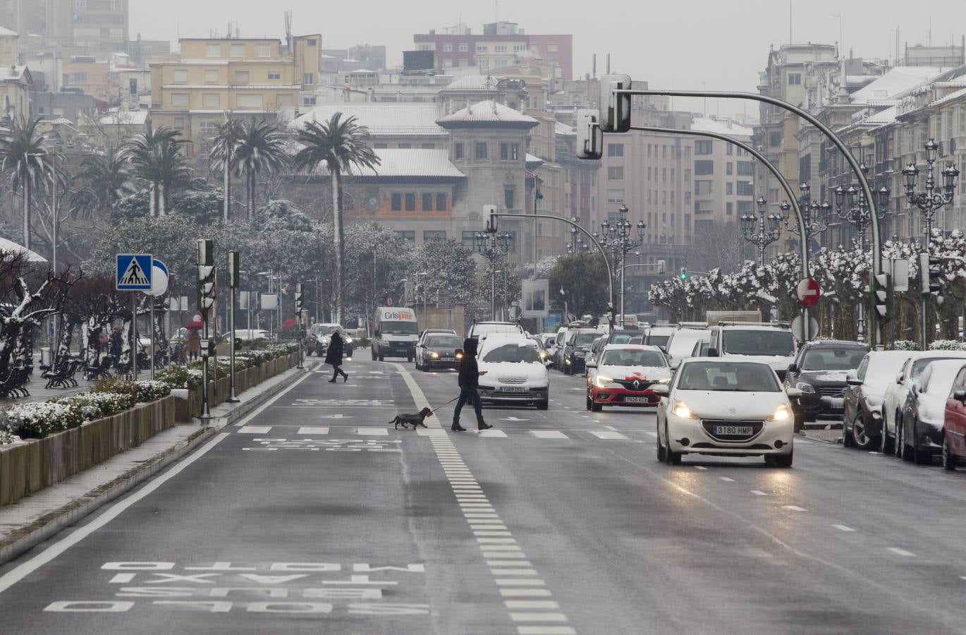 Fotos: A clase y a trabajar bajo la nieve