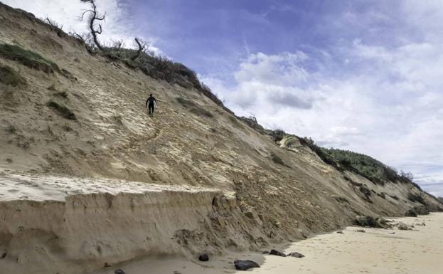 Un paseante muestra el ‘mordisco’ de más de metro y medio provocado por las mareas a la arena de la playa, que llega hasta la base de las dunas.