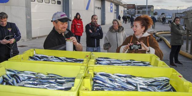 Un grupo de paseantes observa las cajas de la primera descarga de bocarte en el puerto de Santoña. 