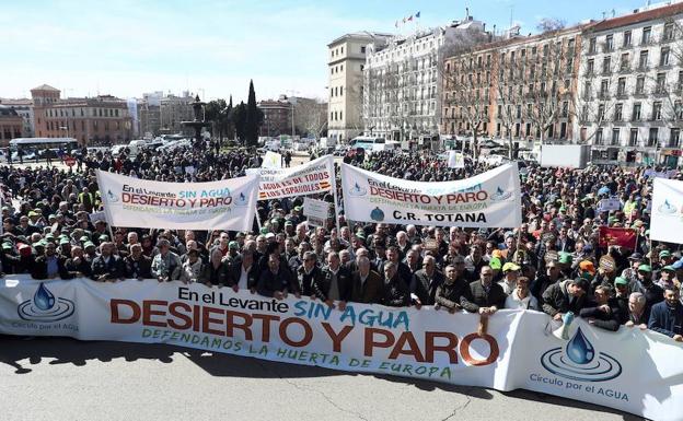 Vista general de la manifestación. 