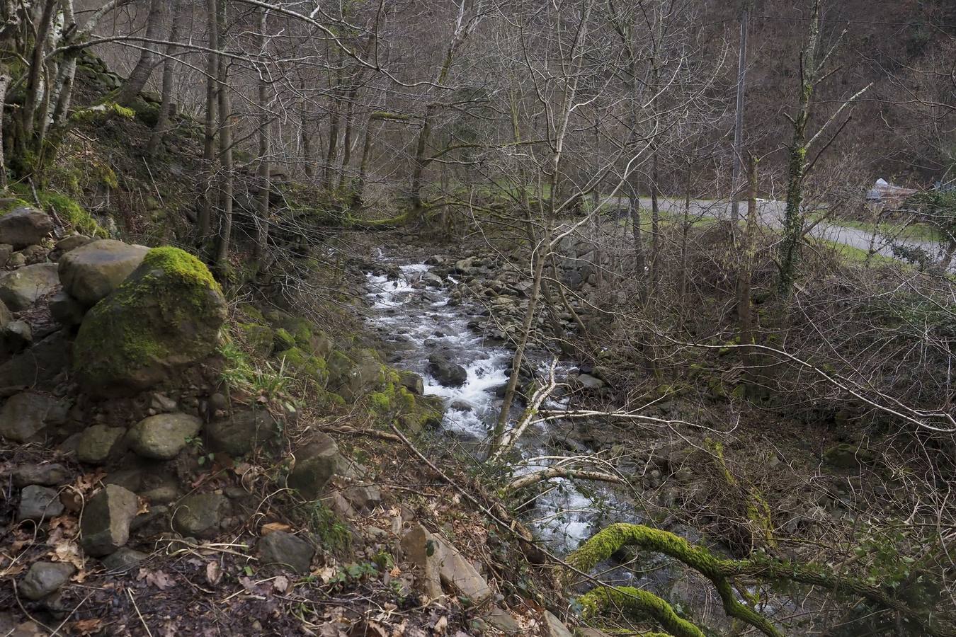 Los temporales de invierno han transformado los valles pasiegos, que han recuperado el vivo verde que los caracteriza, y en los que la nieve todavía mantiene cerrado el puerto de Lunada. 