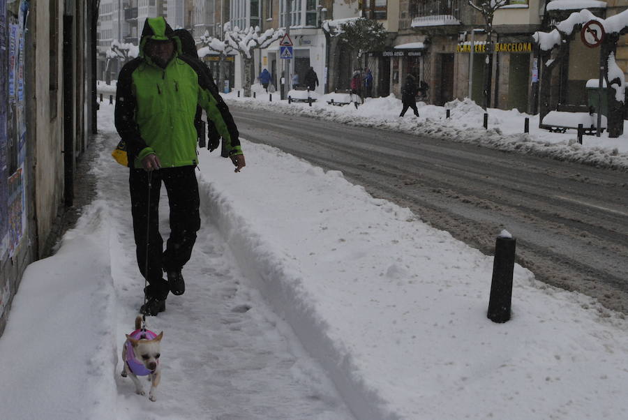 Un nuevo temporal de nieve está provocando incidencias en varias carreteras. Además, varios colegios han suspendido las clases. 