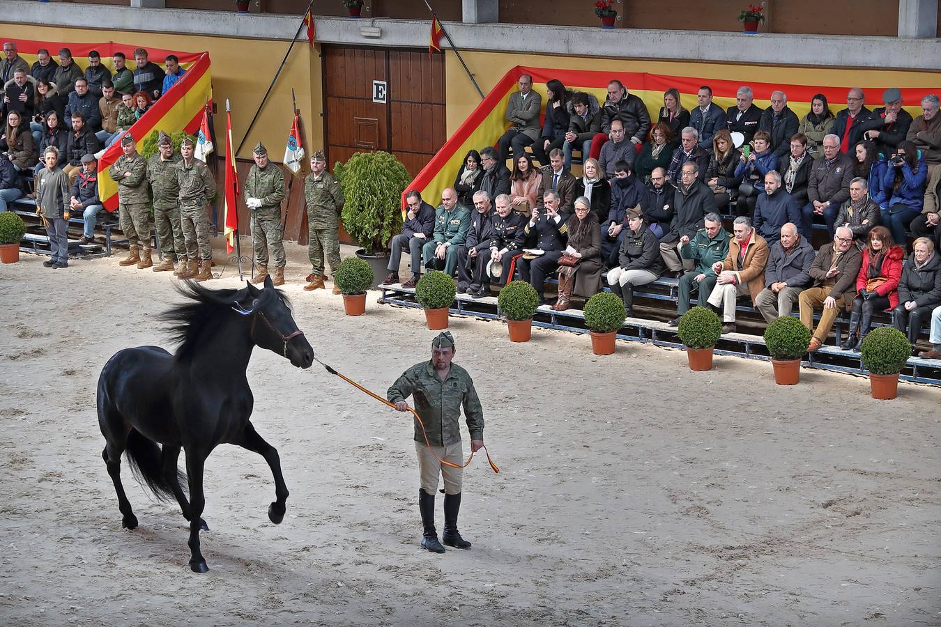 Fotos: Desfile de los sementales de la Yeguada de Ibio