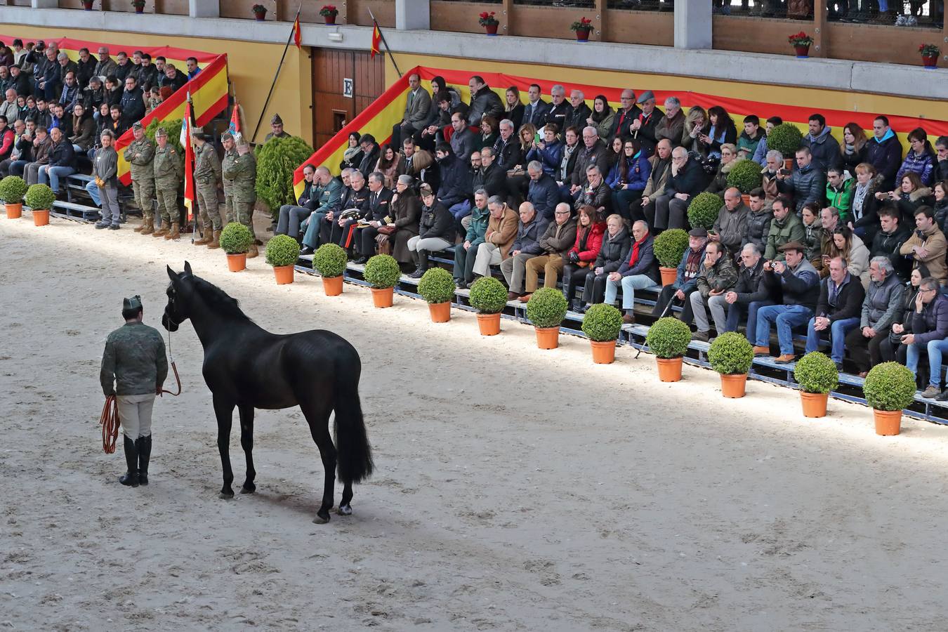 Fotos: Desfile de los sementales de la Yeguada de Ibio