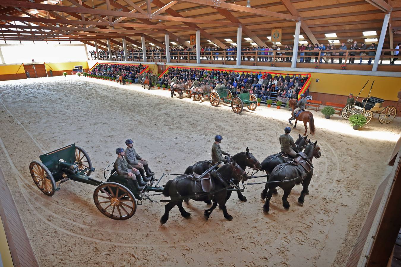 Fotos: Desfile de los sementales de la Yeguada de Ibio