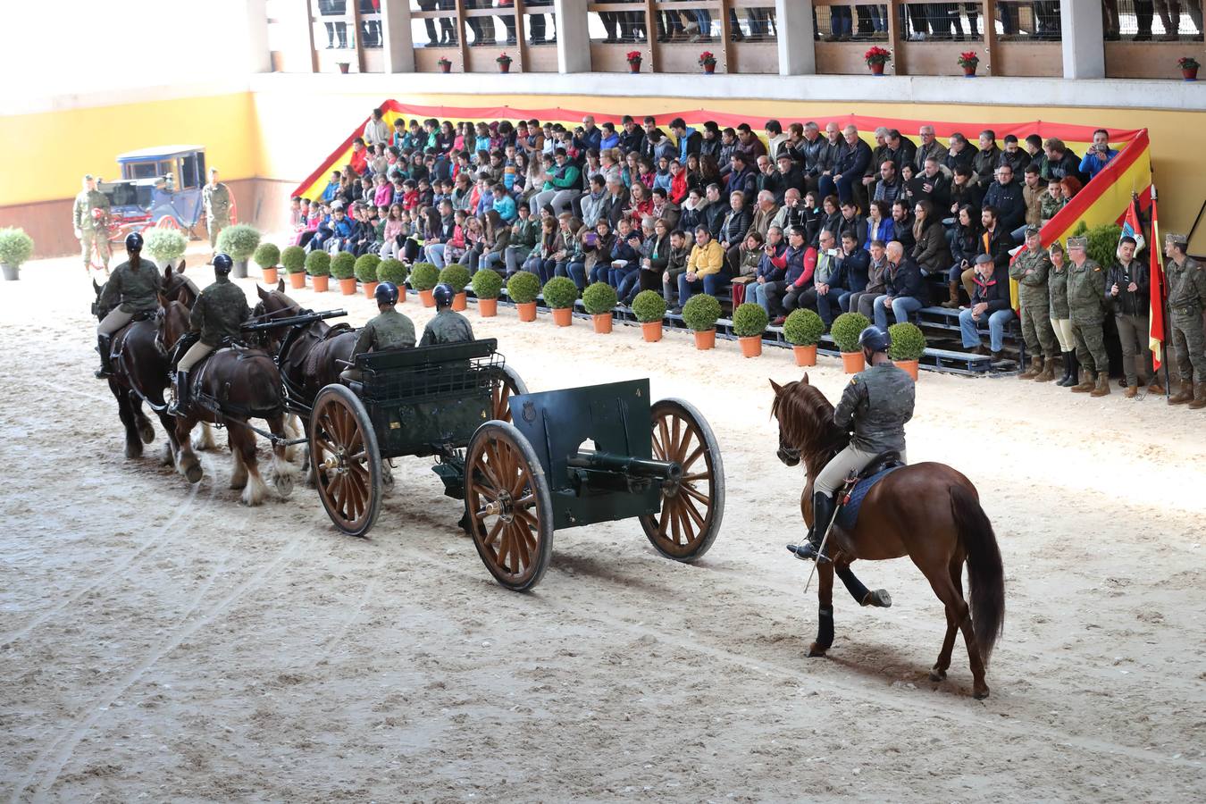 Fotos: Desfile de los sementales de la Yeguada de Ibio