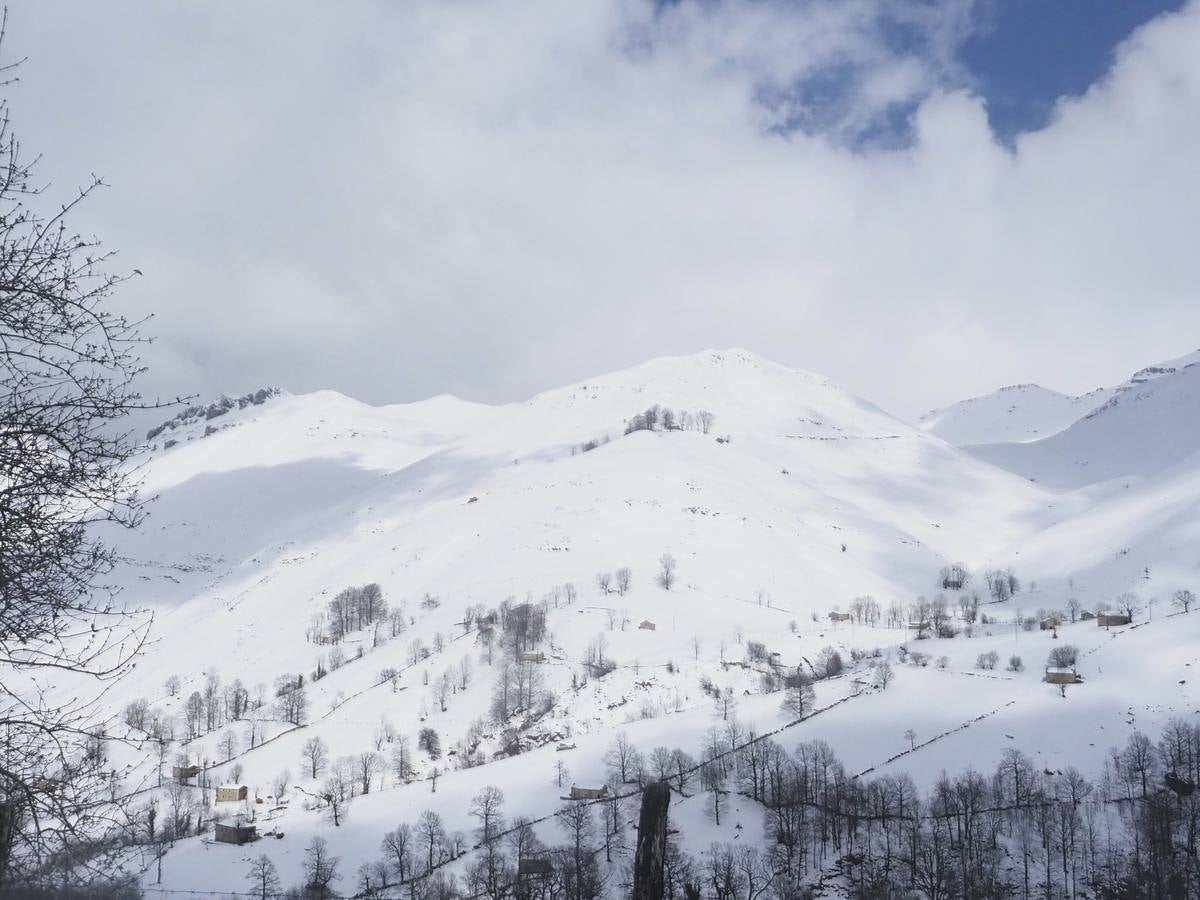 Los temporales de las últimas semanas han transformado los paisajes del interior de la región, que aparecen cubiertos por una espesa capa de nieve.