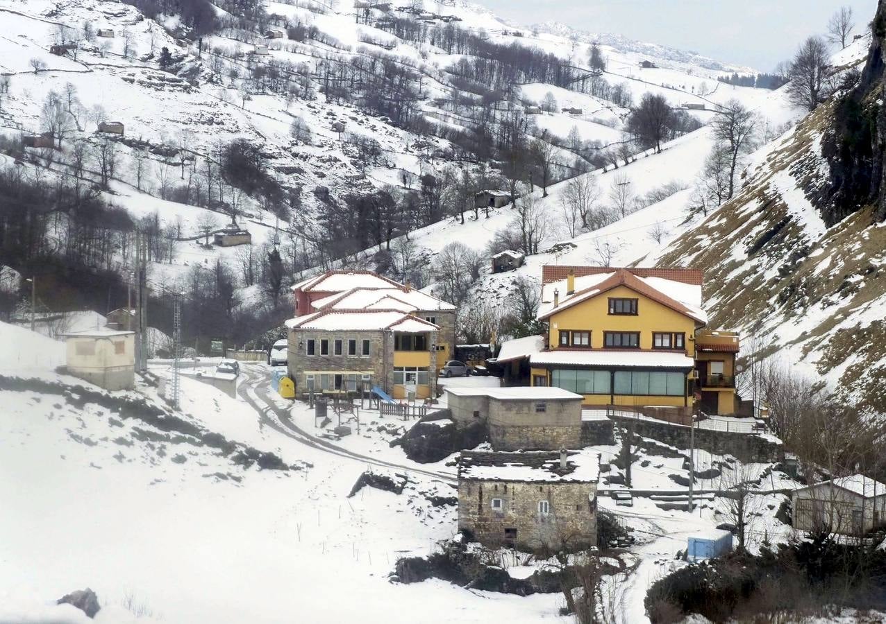 Los temporales de las últimas semanas han transformado los paisajes del interior de la región, que aparecen cubiertos por una espesa capa de nieve.