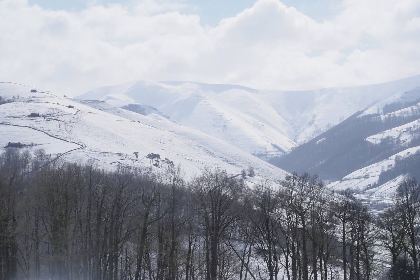 Los temporales de las últimas semanas han transformado los paisajes del interior de la región, que aparecen cubiertos por una espesa capa de nieve.