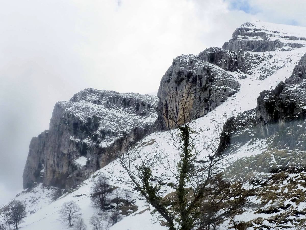 Los temporales de las últimas semanas han transformado los paisajes del interior de la región, que aparecen cubiertos por una espesa capa de nieve.