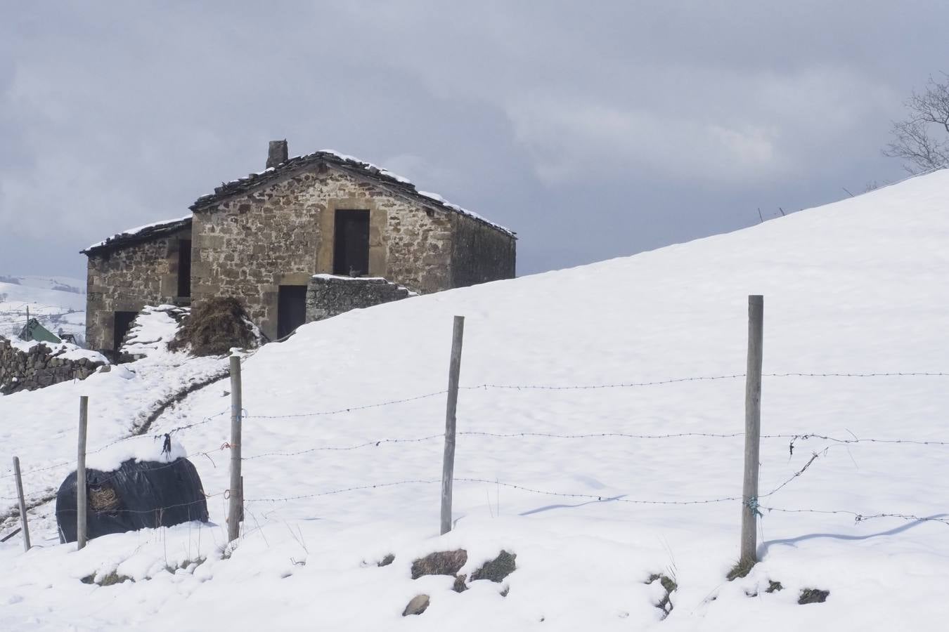 Los temporales de las últimas semanas han transformado los paisajes del interior de la región, que aparecen cubiertos por una espesa capa de nieve.