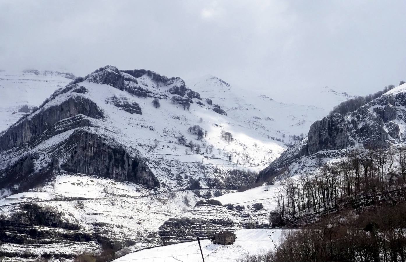 Los temporales de las últimas semanas han transformado los paisajes del interior de la región, que aparecen cubiertos por una espesa capa de nieve.