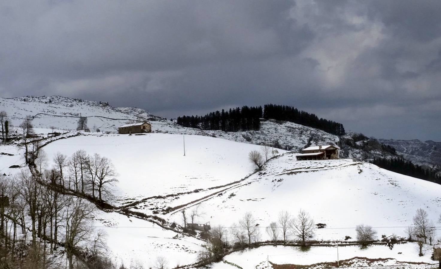 Los temporales de las últimas semanas han transformado los paisajes del interior de la región, que aparecen cubiertos por una espesa capa de nieve.