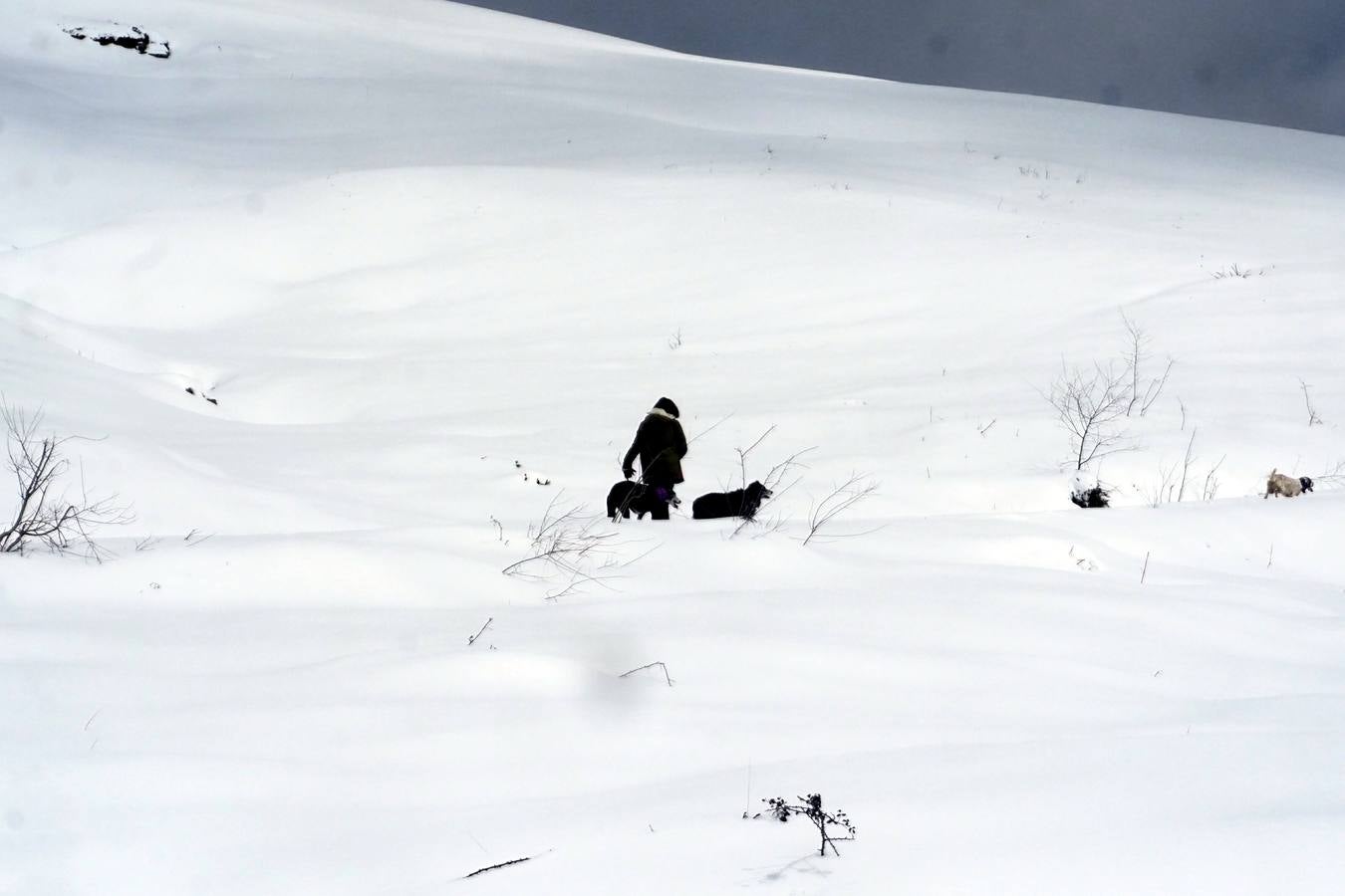 Los temporales de las últimas semanas han transformado los paisajes del interior de la región, que aparecen cubiertos por una espesa capa de nieve.