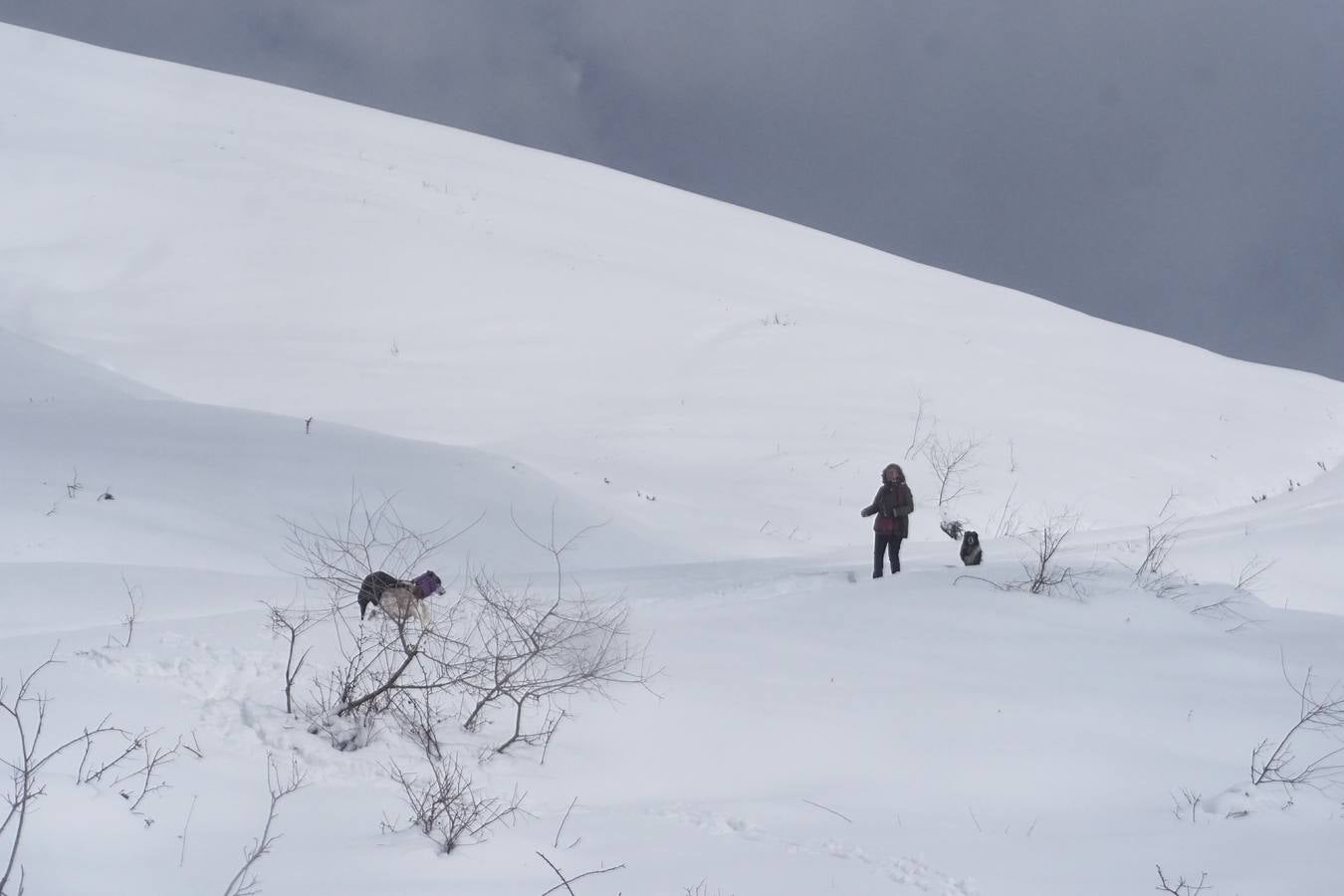 Los temporales de las últimas semanas han transformado los paisajes del interior de la región, que aparecen cubiertos por una espesa capa de nieve.