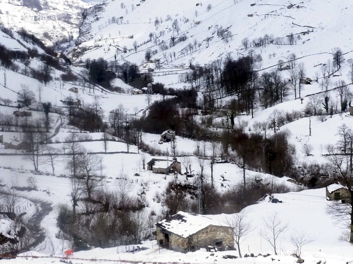 Los temporales de las últimas semanas han transformado los paisajes del interior de la región, que aparecen cubiertos por una espesa capa de nieve.