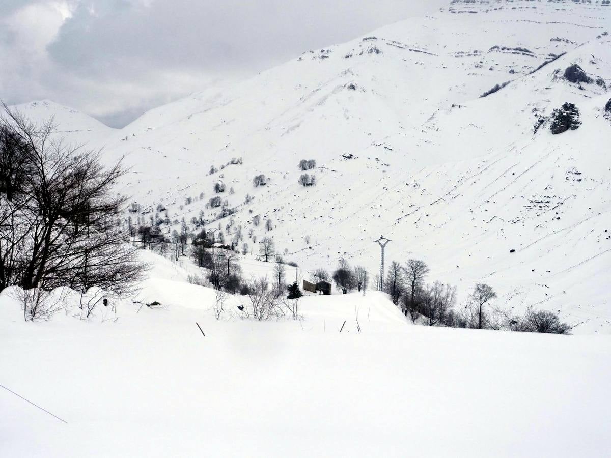 Los temporales de las últimas semanas han transformado los paisajes del interior de la región, que aparecen cubiertos por una espesa capa de nieve.