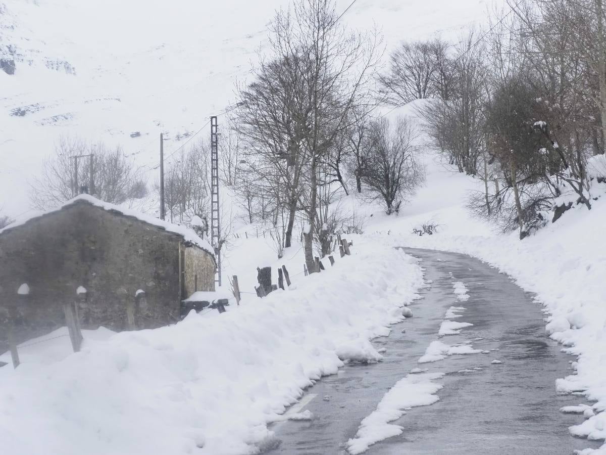 Los temporales de las últimas semanas han transformado los paisajes del interior de la región, que aparecen cubiertos por una espesa capa de nieve.