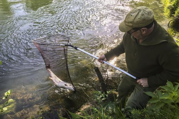 Los aficionados a la pesca deportiva afrontan este año una esperanzadora campaña salmonera.