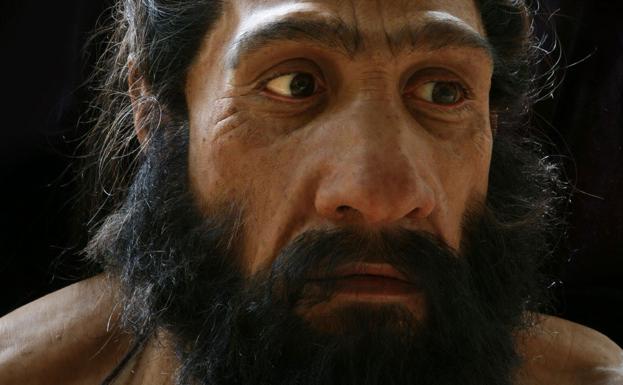 Vista de la cabeza modelada de un hombre de Neandertal creado por el artista John Gurche. 