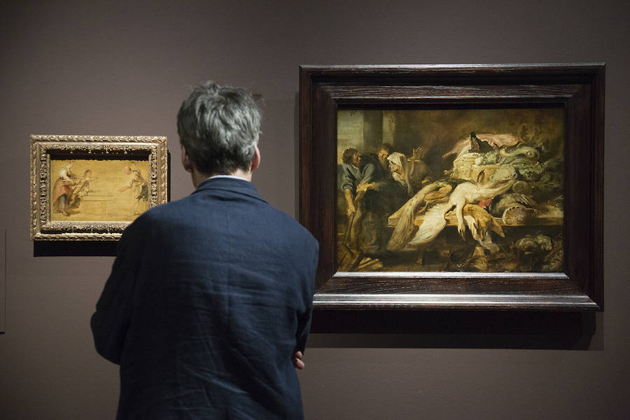 Una exposición en el Museo del Prado exhibe 73 de los mejores estudios que Rubens pintó con óleo