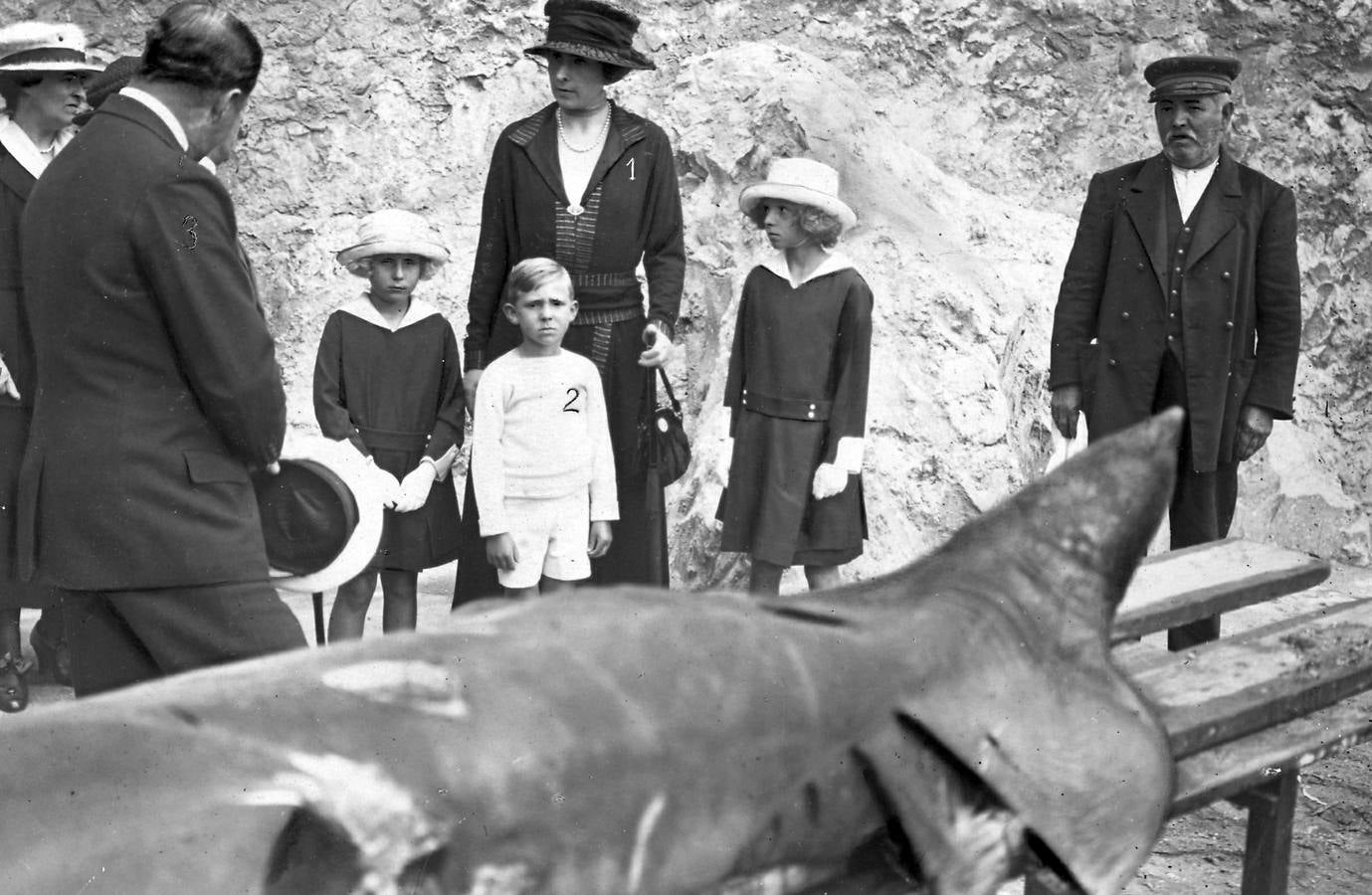 La Reina Victoria Eugenia(1), el Infante Don Juan (2) y las Infantas viendo un tiburón pescado en la costa cantábrica, y que ha sido regalado al Museo Oceanográfico de Santander , en julio de 1918. 