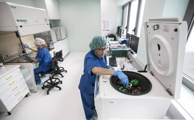 Laboratorio de la Unidad de Reproducción Asistida de Valdecilla, ubicado en la primera planta de la Torre B. 