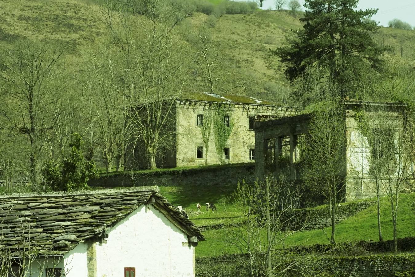 Tras el duro invierno que dejó media Cantabria bajo la nieve, con la llegada de la primavera el verde recobra su protagonismo en la región,