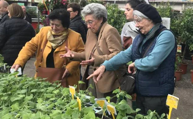 Feria de Árboles y Plantas de Torrelavega.