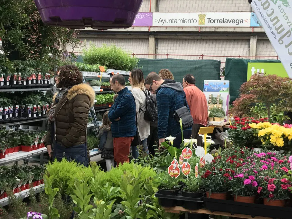 El Mercado Nacional de Ganados se convierte este fin de semana en un gran vivero de árboles y plantas, que transforman el ferial de Torrelavega en un espacio verde.