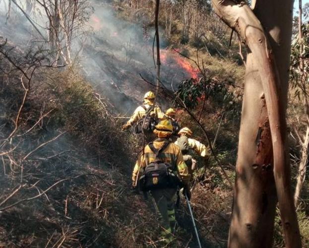 Agentes de las brigadas forestales, en el incendio que han extinguido en Hijas.