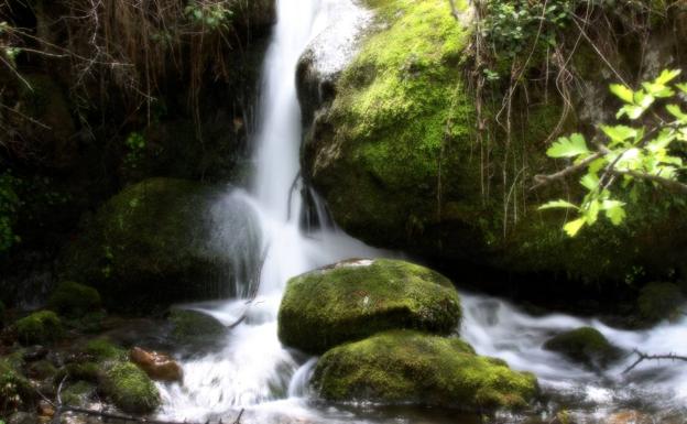 Naturaleza en San Roque de Riomiera.