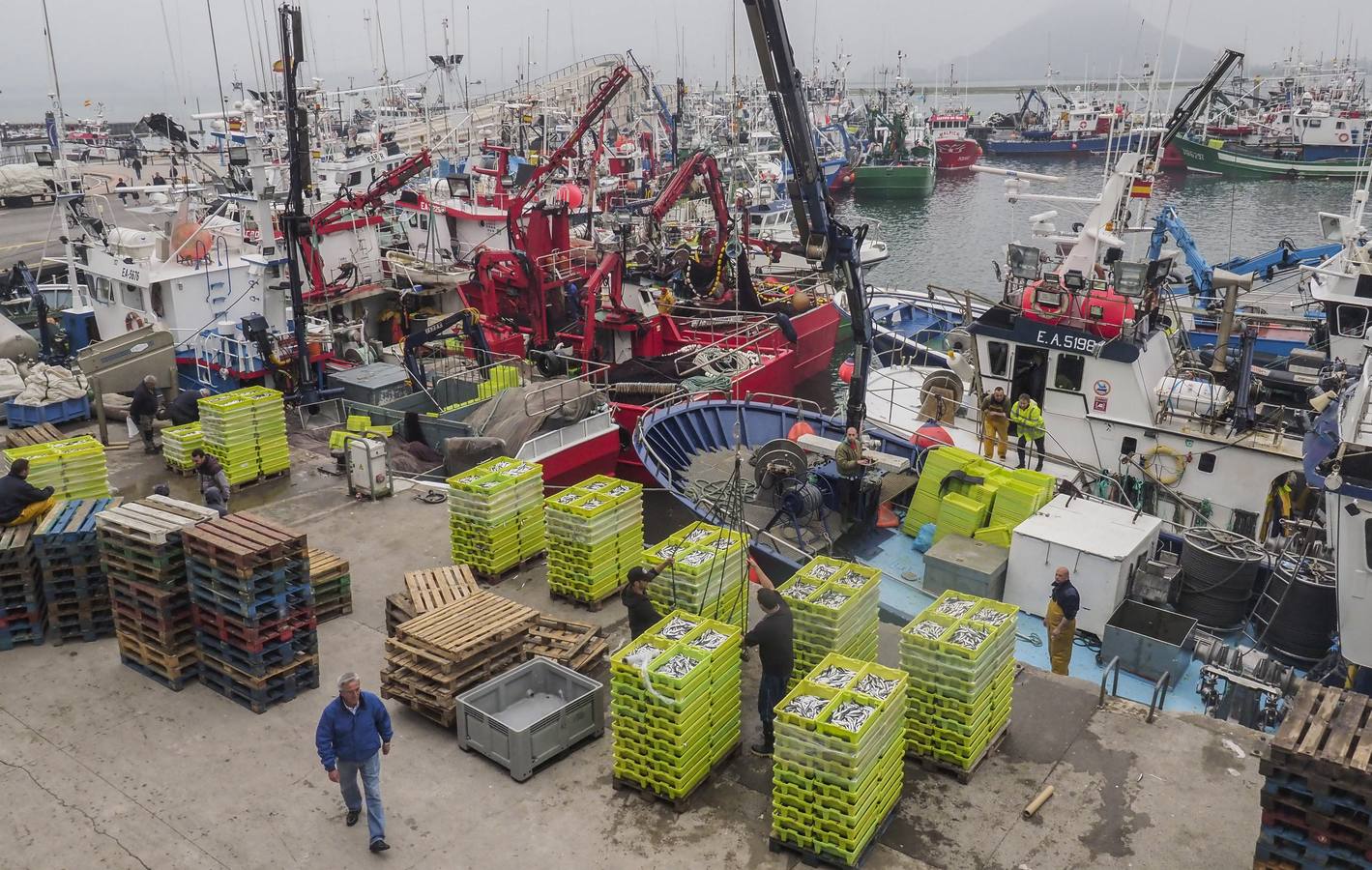 Fotos: Entra en las lonjas de Cantabria un millón de kilos de bocarte