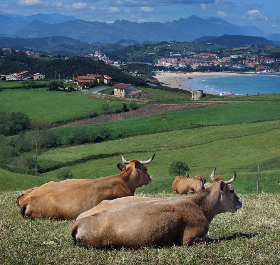 Playa de Merón (San Vicente de la Barquera).