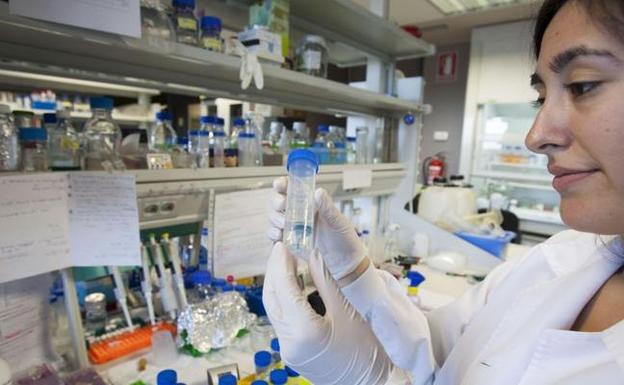 Investigadora trabajando en el laboratorio del Instituto de Biomedicina y Biotecnología de Cantabria.