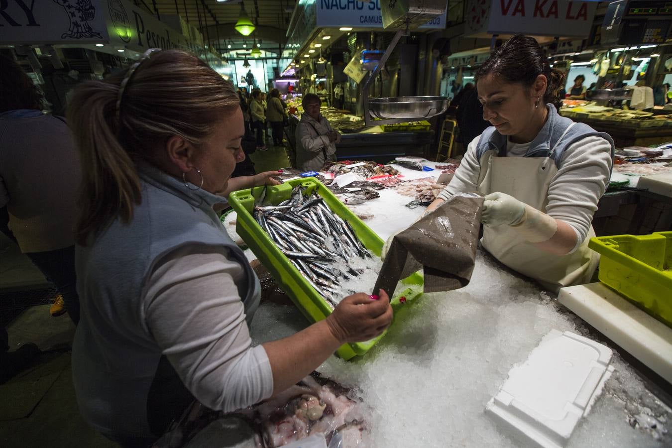 Fotos: El bocarte llega a la plaza